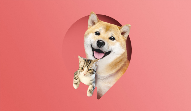 派旺：你的智宠生活