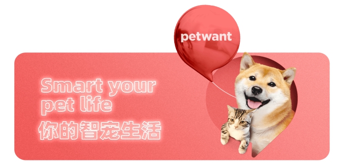 派旺：你的智宠生活