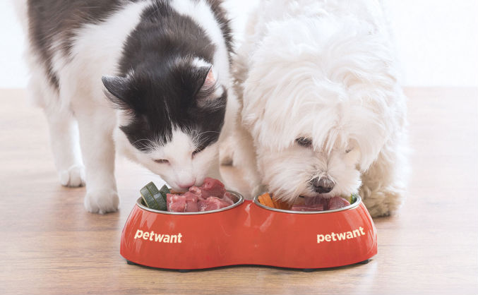 派旺：你的智宠生活