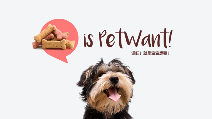 派旺！就是宠物想要的