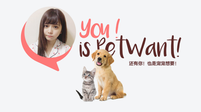 派旺！就是宠物想要的