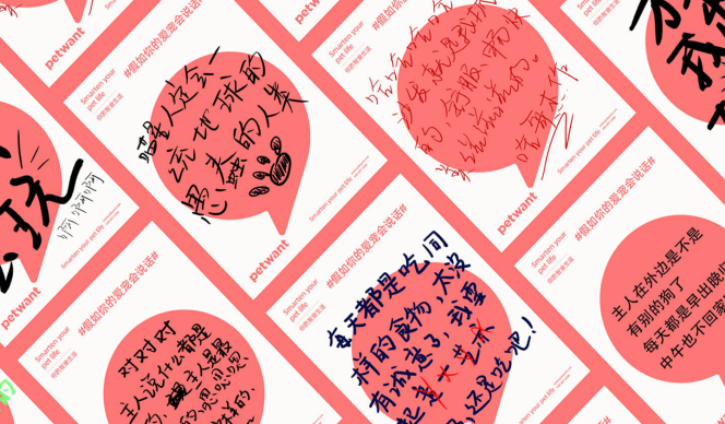 假如你的宠物会说话